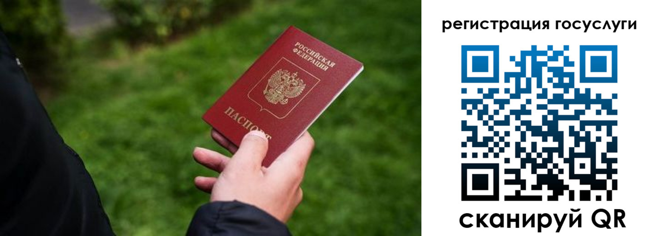 прописка в Шебекино