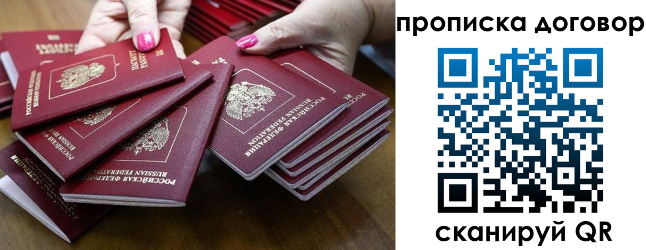 прописка в Шебекино